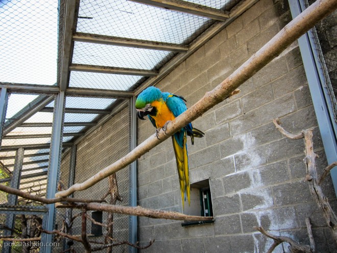 Зоопарк в Гродно